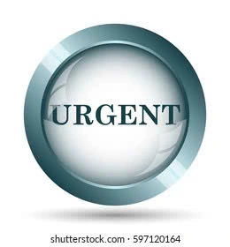 Vietnam Urgent Visa